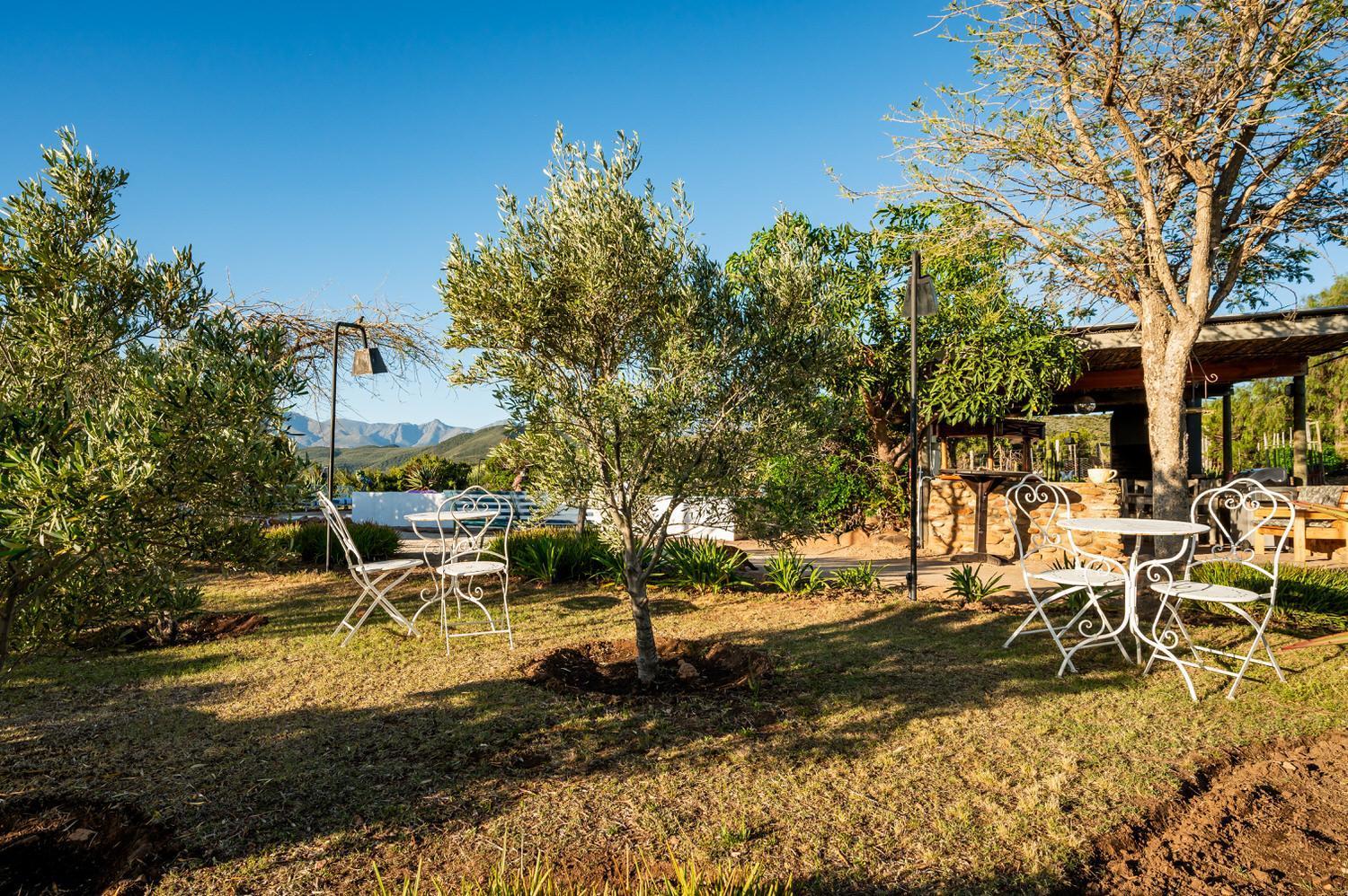 Bed and Breakfast Le Petit Karoo Ranch Oudtshoorn Exterior foto