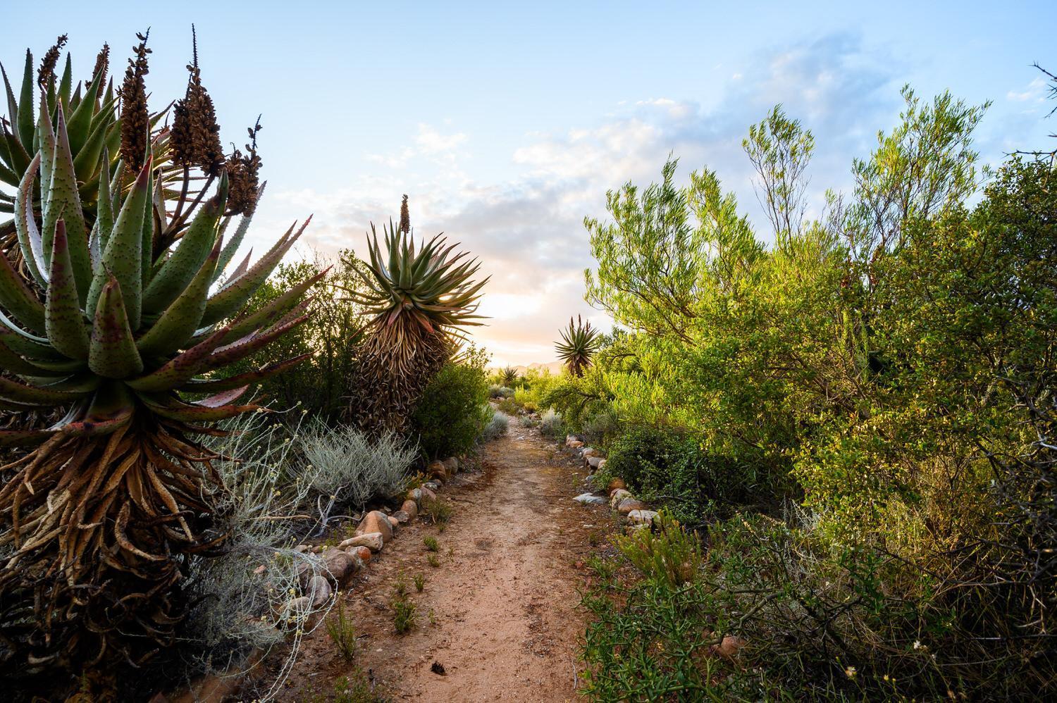 Bed and Breakfast Le Petit Karoo Ranch Oudtshoorn Exterior foto