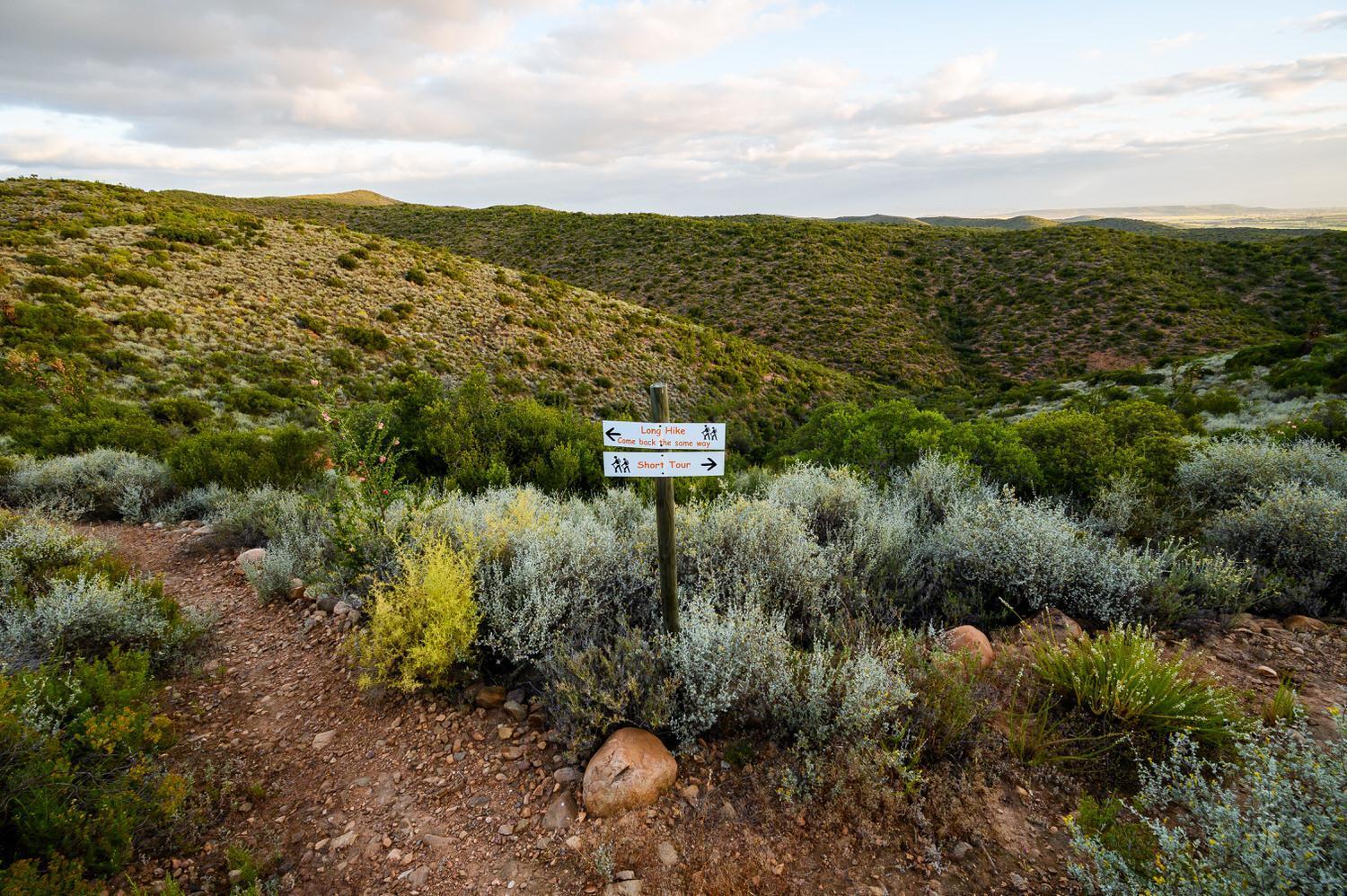 Bed and Breakfast Le Petit Karoo Ranch Oudtshoorn Exterior foto