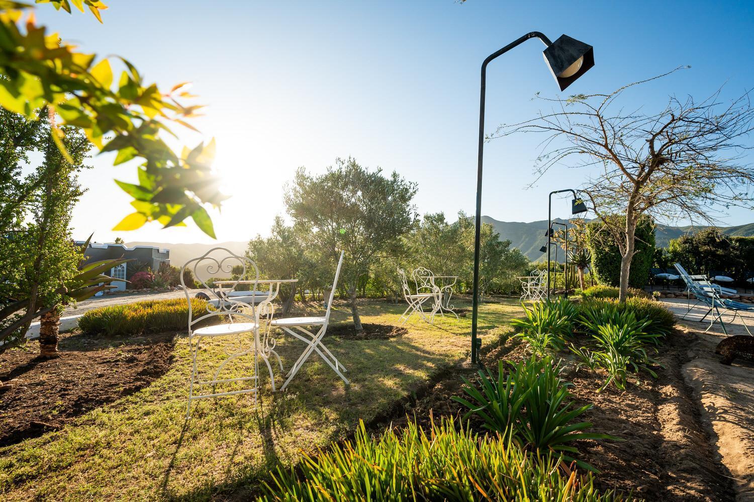 Bed and Breakfast Le Petit Karoo Ranch Oudtshoorn Exterior foto