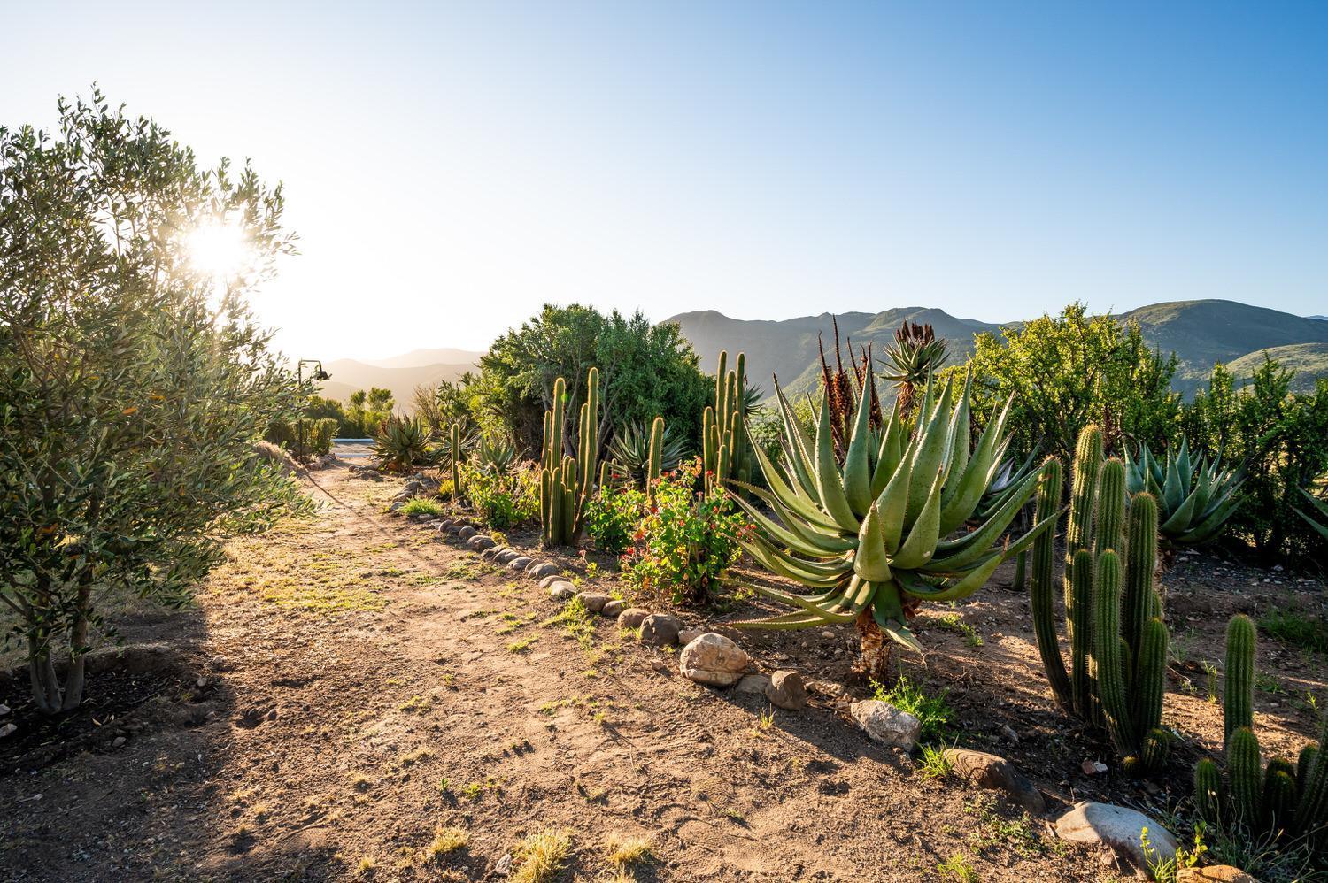 Bed and Breakfast Le Petit Karoo Ranch Oudtshoorn Exterior foto