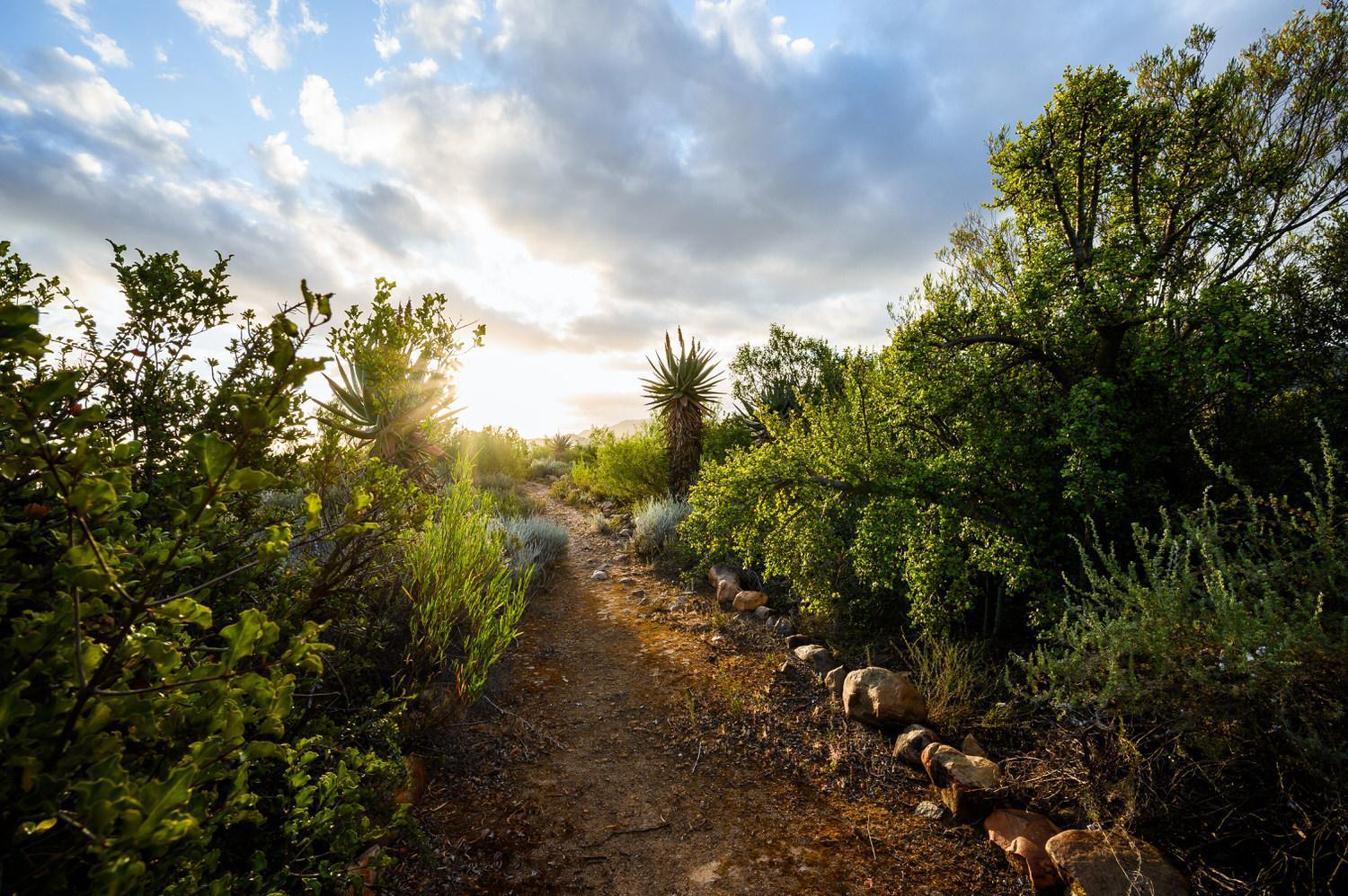 Bed and Breakfast Le Petit Karoo Ranch Oudtshoorn Exterior foto