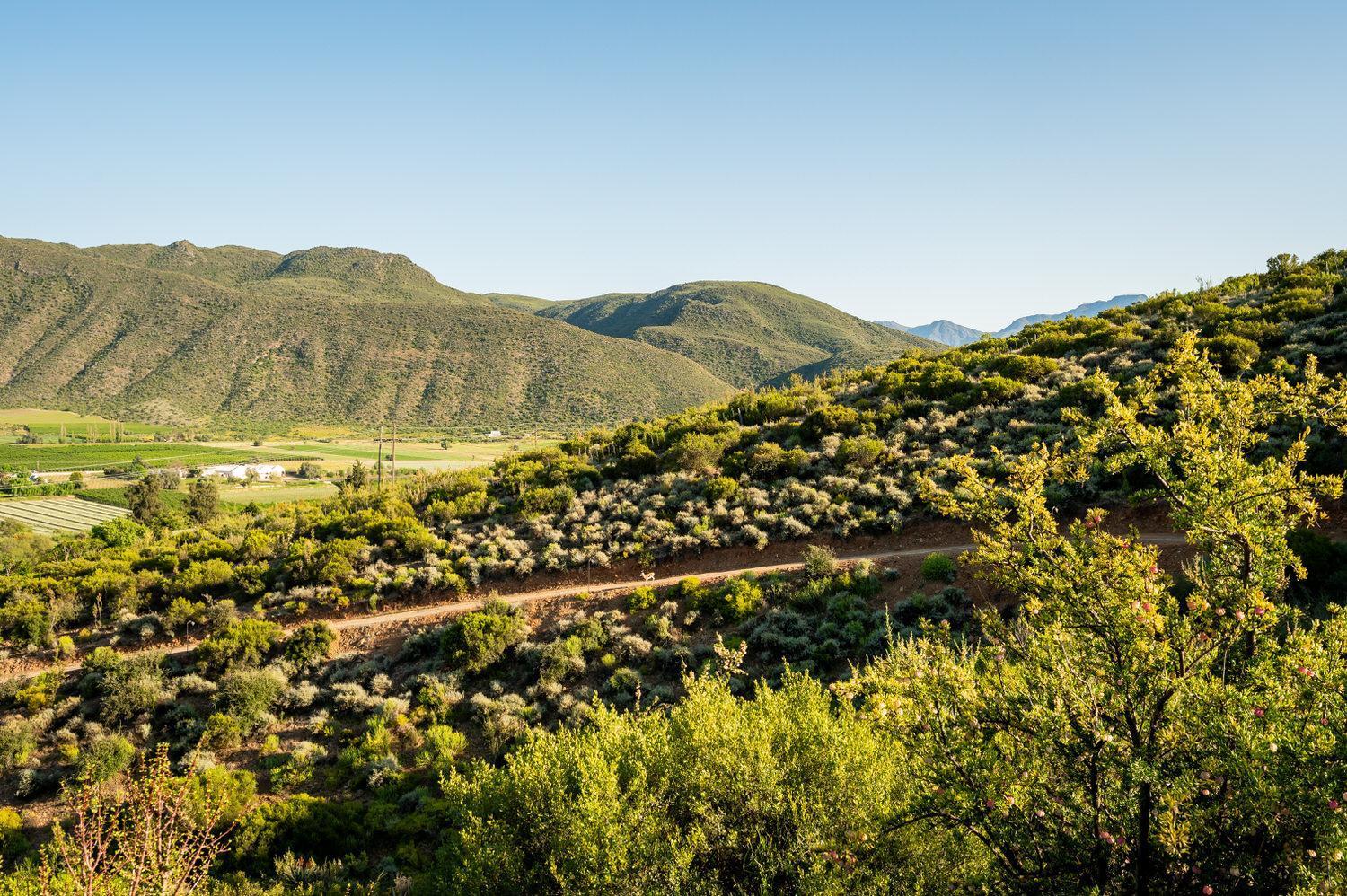 Bed and Breakfast Le Petit Karoo Ranch Oudtshoorn Exterior foto