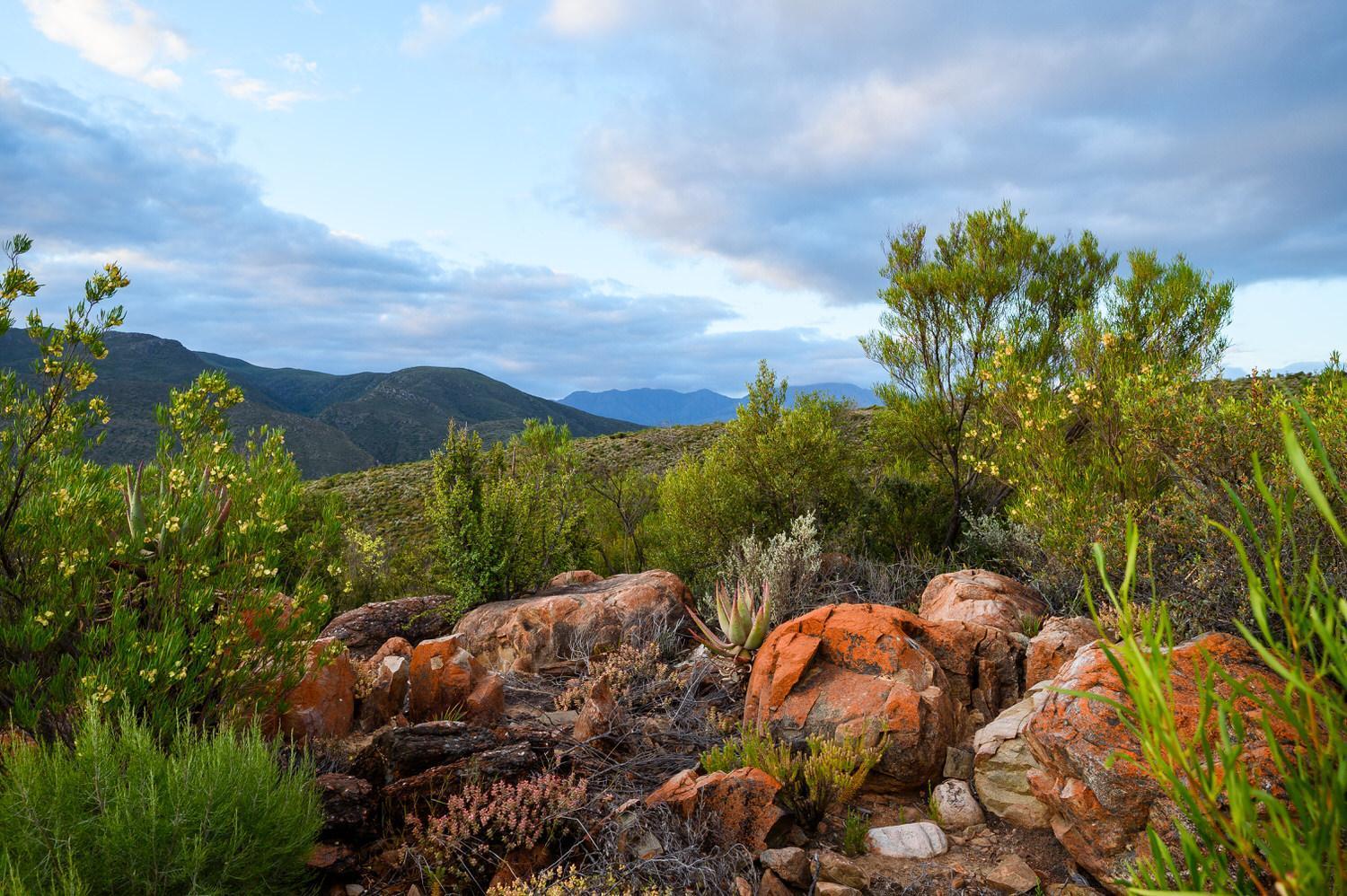 Bed and Breakfast Le Petit Karoo Ranch Oudtshoorn Exterior foto