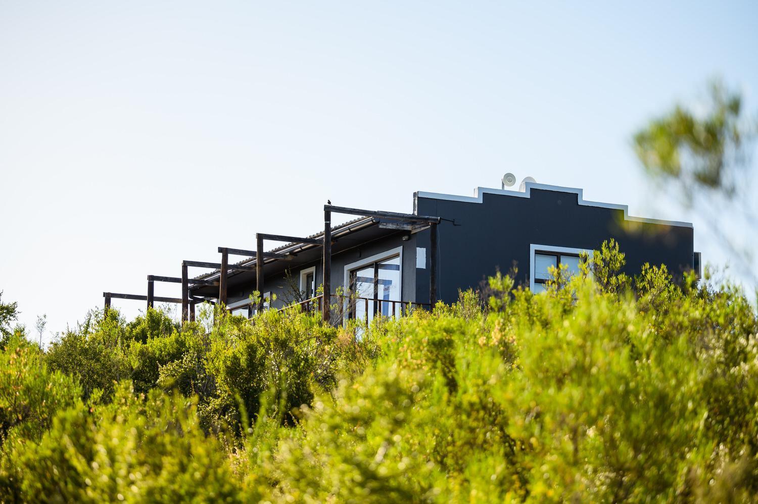 Bed and Breakfast Le Petit Karoo Ranch Oudtshoorn Exterior foto