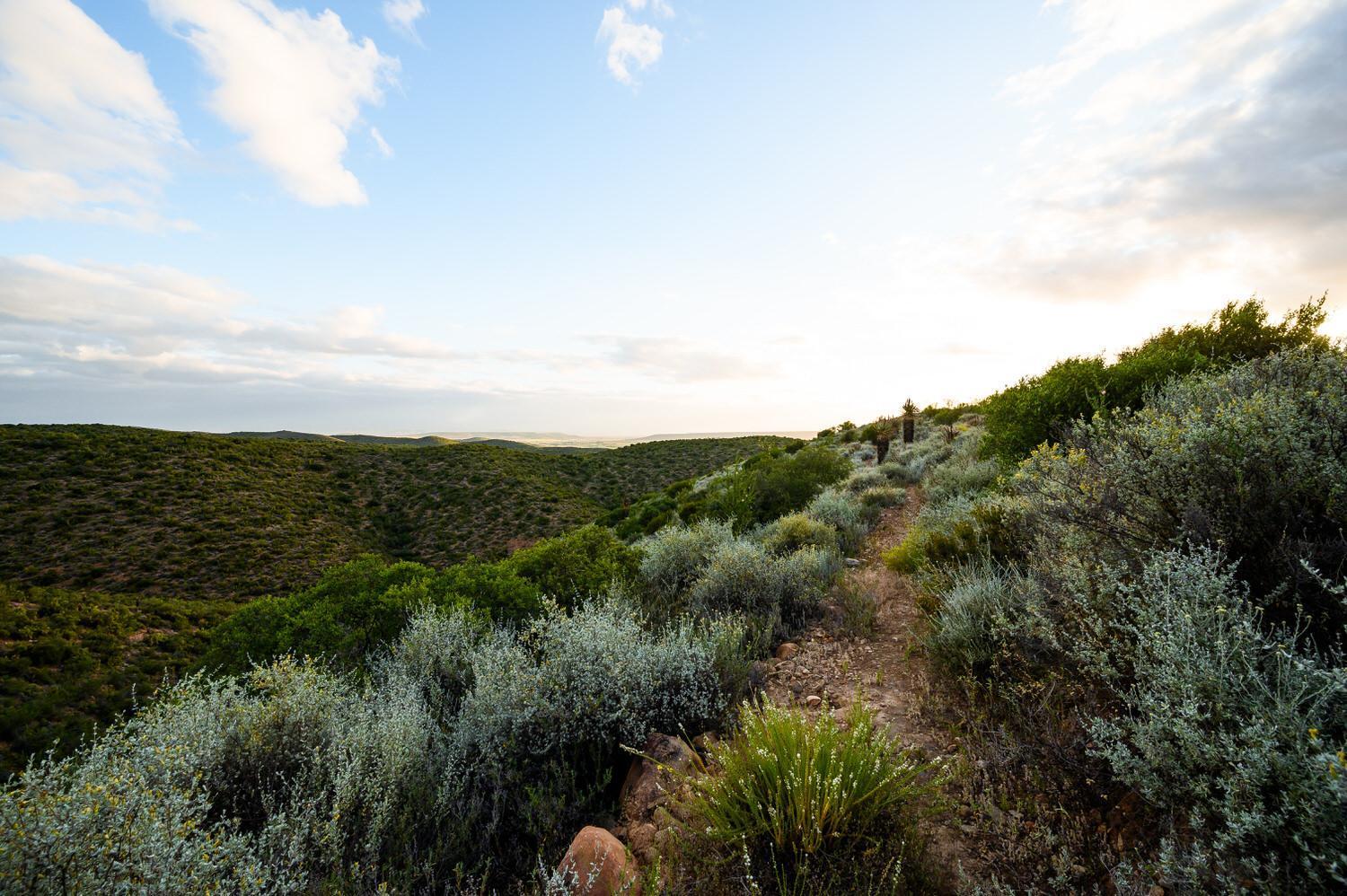 Bed and Breakfast Le Petit Karoo Ranch Oudtshoorn Exterior foto