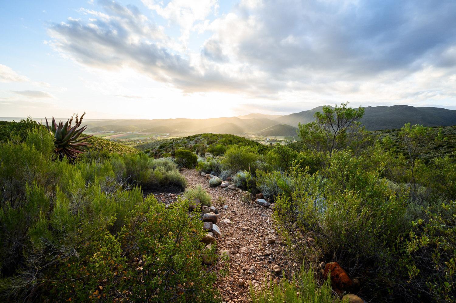 Bed and Breakfast Le Petit Karoo Ranch Oudtshoorn Exterior foto