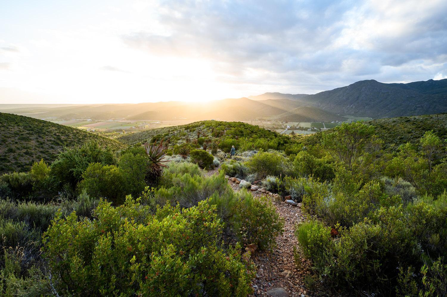 Bed and Breakfast Le Petit Karoo Ranch Oudtshoorn Exterior foto