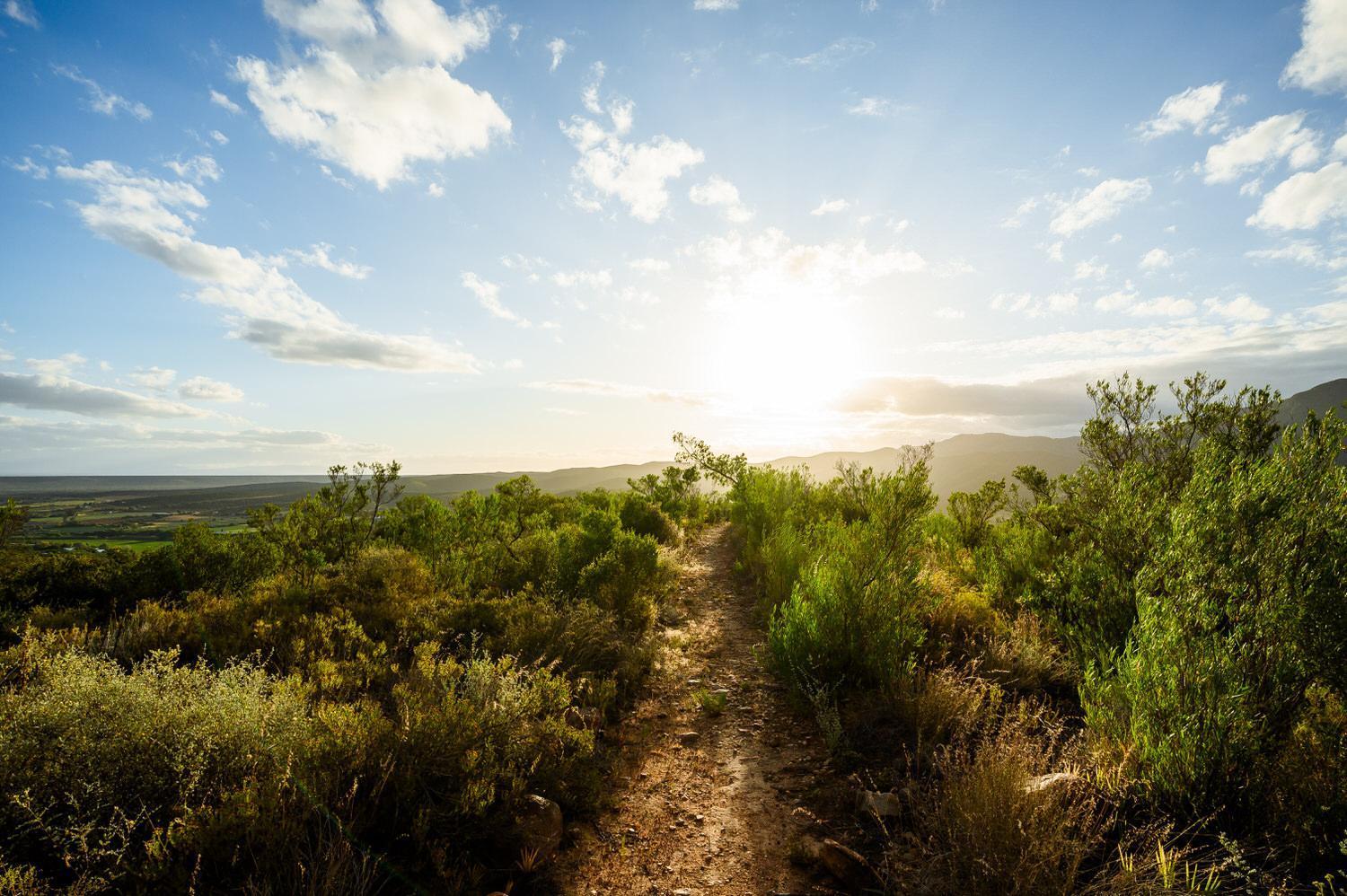 Bed and Breakfast Le Petit Karoo Ranch Oudtshoorn Exterior foto
