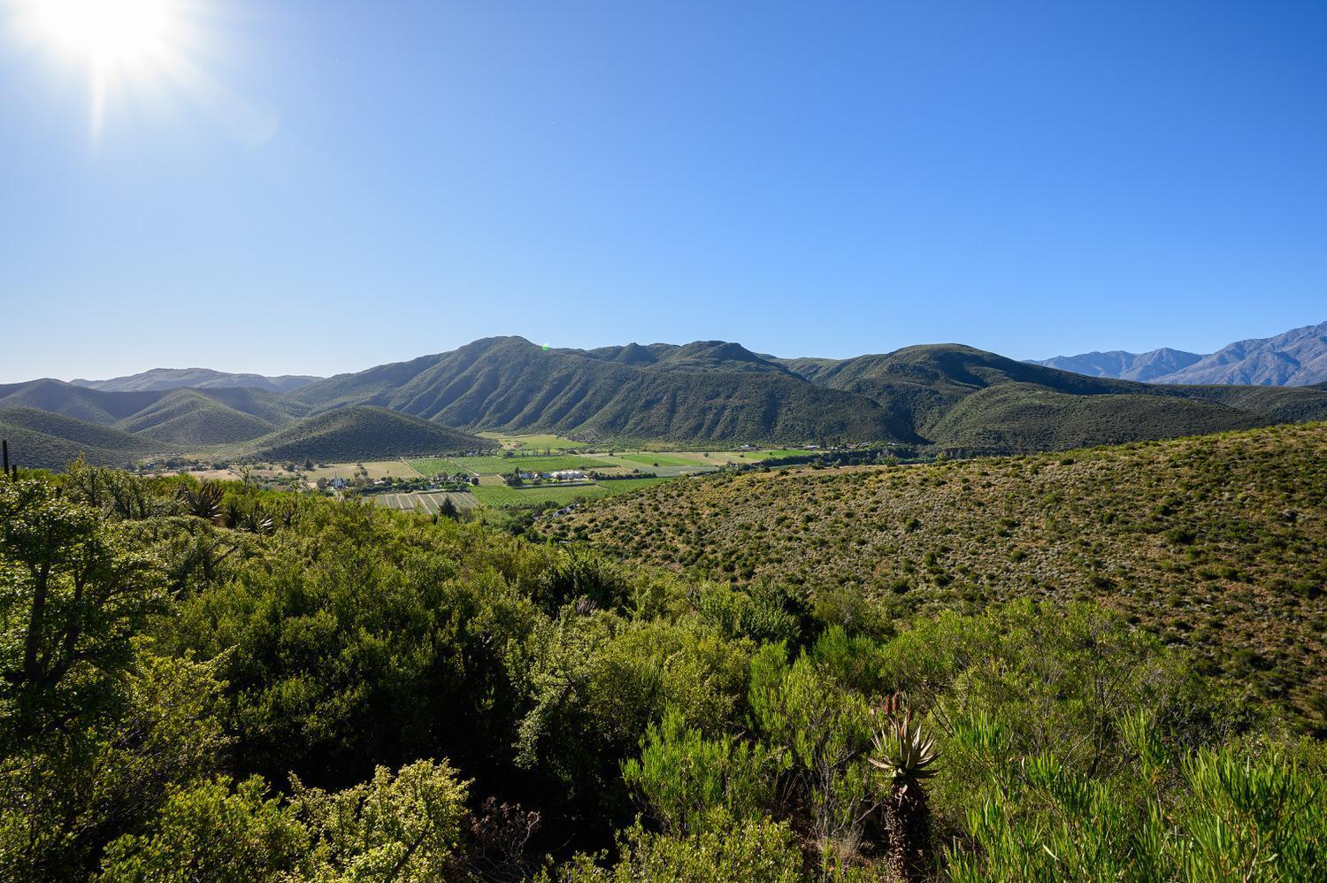 Bed and Breakfast Le Petit Karoo Ranch Oudtshoorn Exterior foto